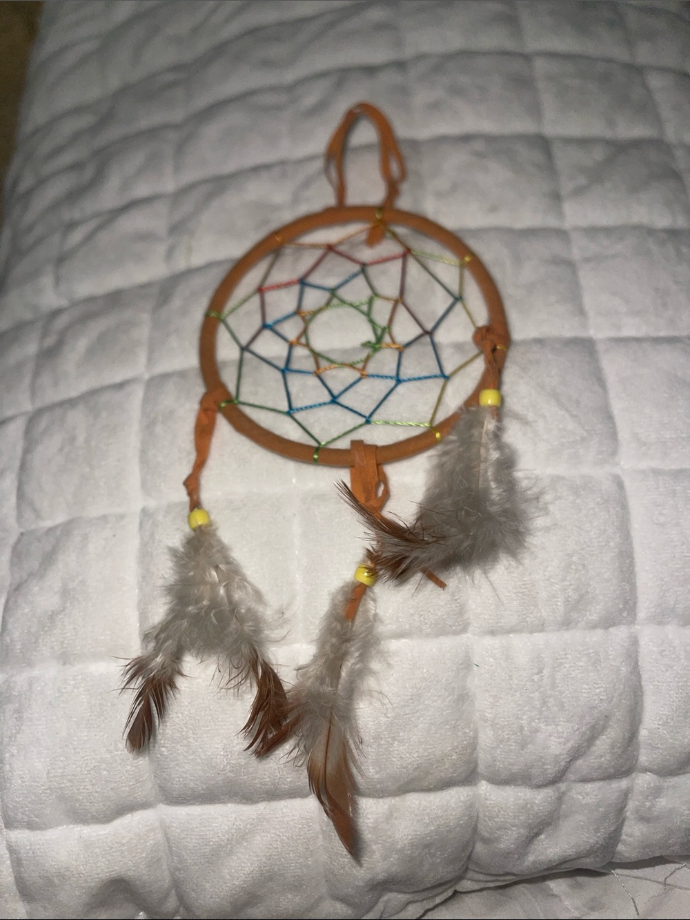 Handmade Brown Dreamcatcher Wall Decor with Multicolor Web